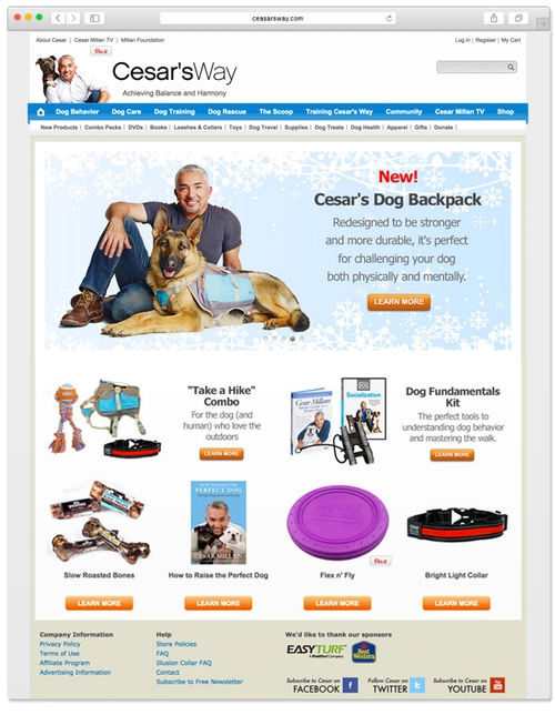 Cesar Millan Desktop